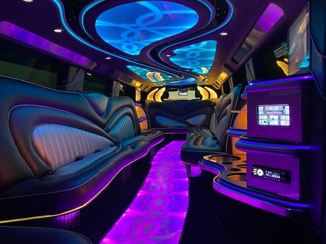 20 passenger party bus/limo bus