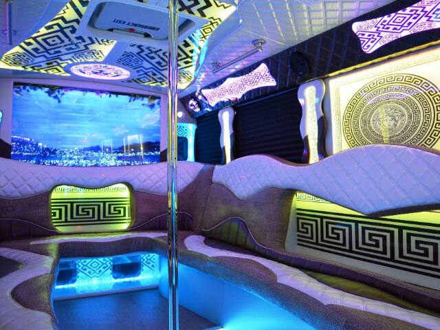 limo bus dance pole