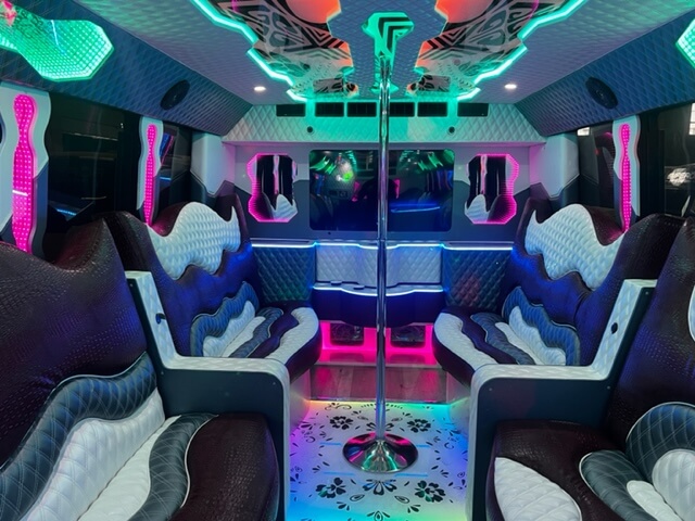 large party bus rental edwardsville