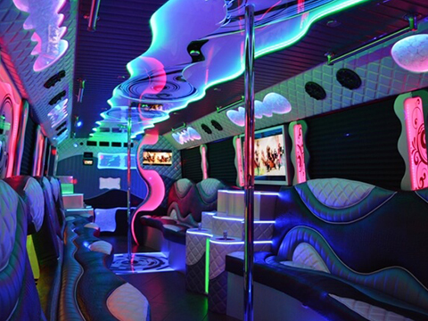 36 passenger party bus