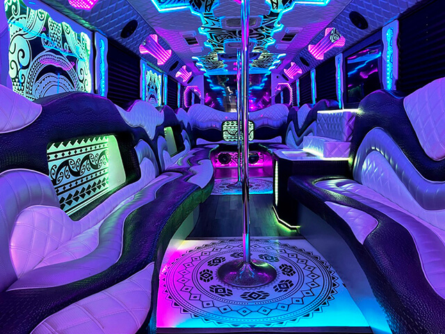 30 passenger party bus