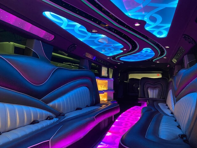 20 passenger party bus limo