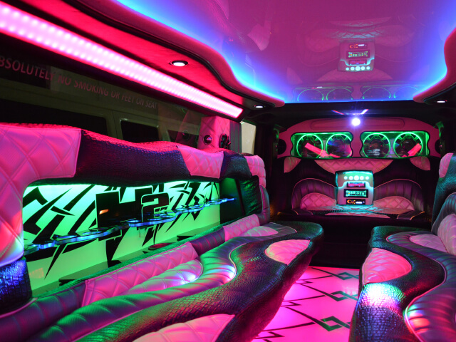 schaumburg limo interior premium sound system